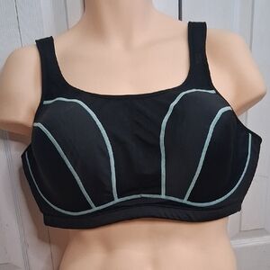 Elegant Black and Blue Sports Bra